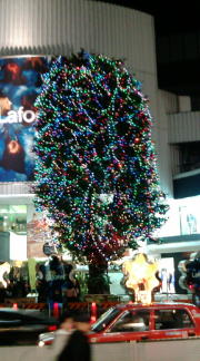  �����m�X