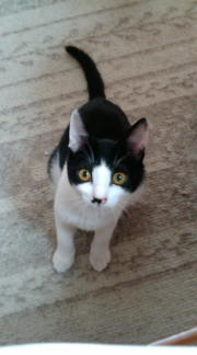  �����m�X