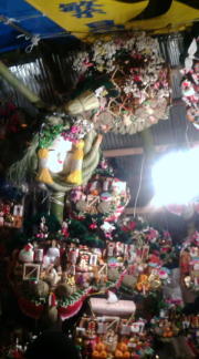  �����m�X