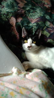  �����m�X