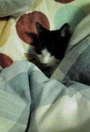  �����m�X