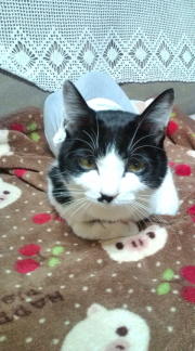  �����m�X