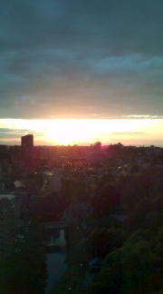  �����m�X