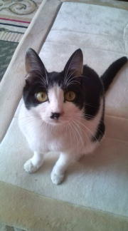  �����m�X