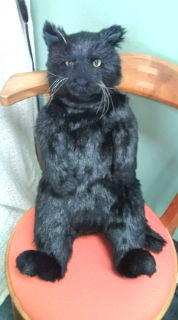  �����m�X