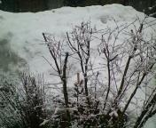  �M�B�s�r�L2