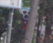  ����������т����ȋ�����