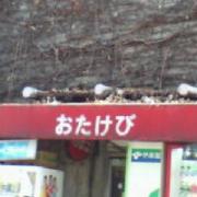  �|�����̌������H