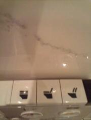  �C���f�B�[�W���[���Y�΂�