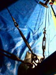  �v�����X����