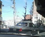  ���������p�g�J�[