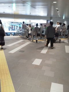 �g�ˎ��w�\��